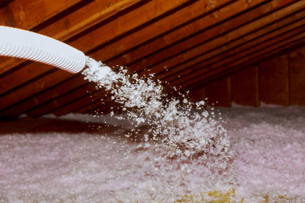 Best Types of Insulation in Little Round Lake, WI